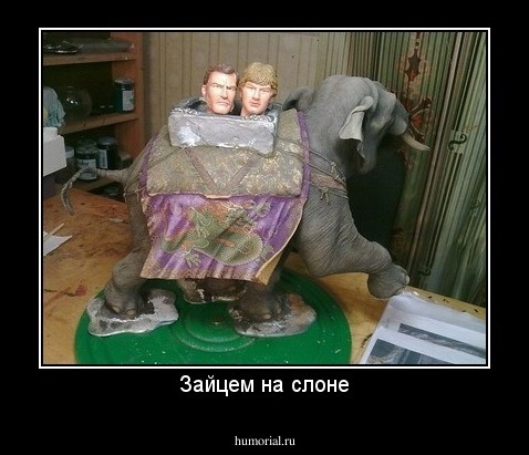 Зайцем на слоне