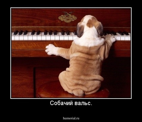 Собачий вальс.