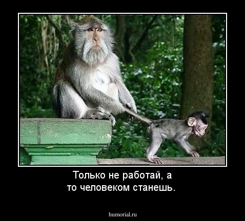 Только не работай, а то человеком станешь.