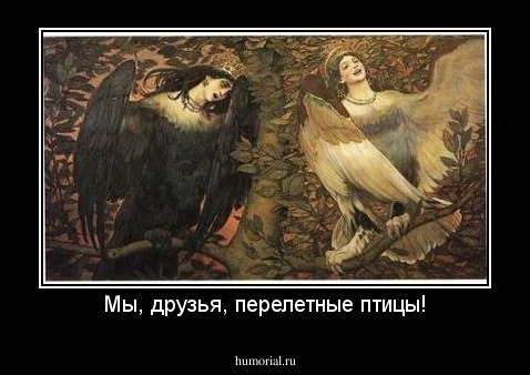 Мы, друзья, перелетные птицы!