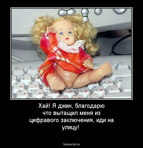 Хай! Я джин, благодарю что вытащил меня из цифравого заключения, иди на улицу!