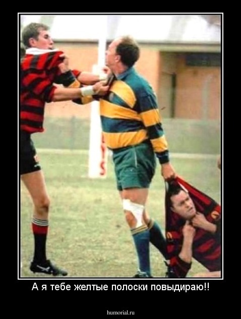 А я тебе желтые полоски повыдираю!!