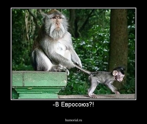 -В Евросоюз?!