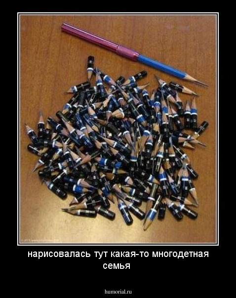нарисовалась тут какая-то многодетная семья