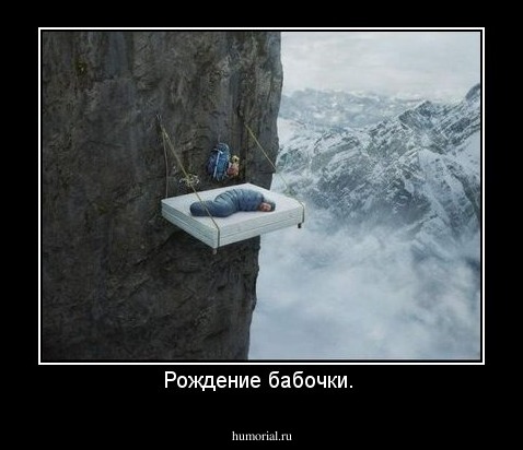 Рождение бабочки. 