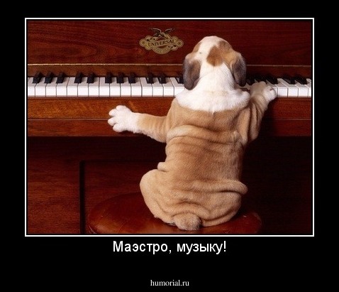 Маэстро, музыку!