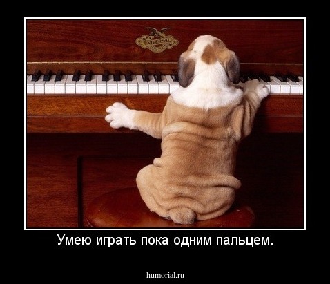 Умею играть пока одним пальцем.