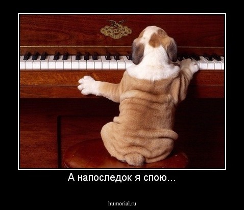 А напоследок я спою...