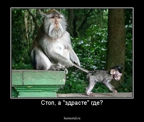 Стоп, а "здрасте" где?
