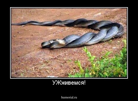 УЖживемся!
