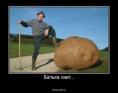 Батька снит...