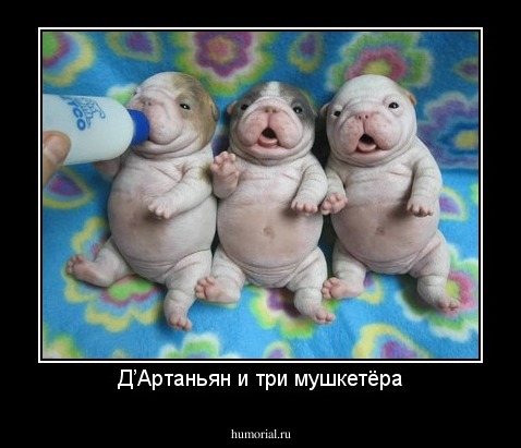 Д’Артаньян и три мушкетёра