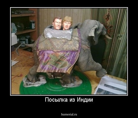 Посылка из Индии