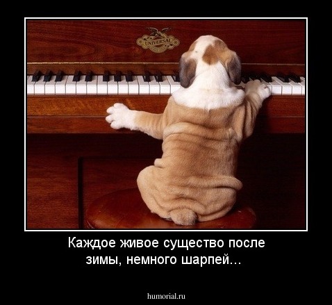 Каждое живое существо после зимы, немного шарпей...