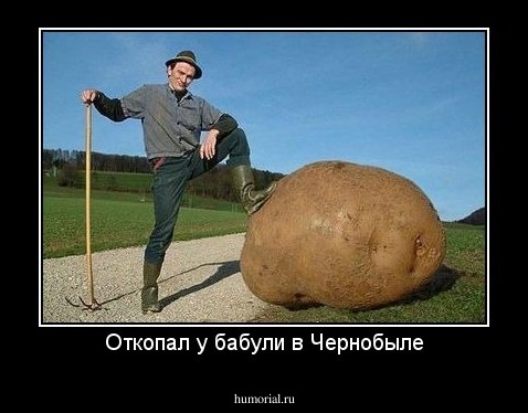 Откопал у бабули в Чернобыле