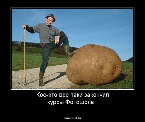 Кое-кто все таки закончил курсы Фотошопа!