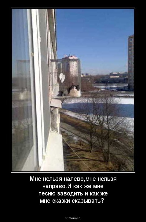Мне нельзя налево,мне нельзя направо.И как же мне песню заводить,и как же мне сказки сказывать?