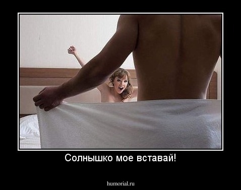 Солнышко мое вставай!