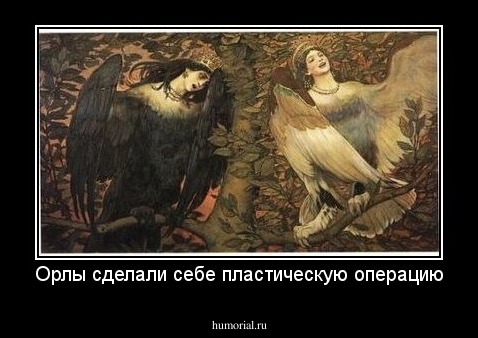Орлы сделали себе пластическую операцию
