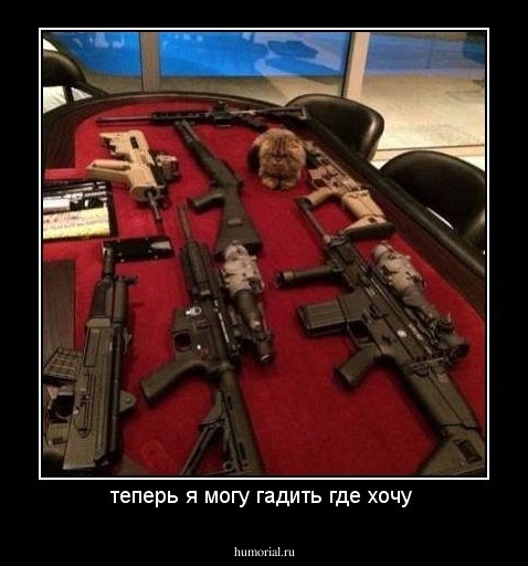 теперь я могу гадить где хочу 