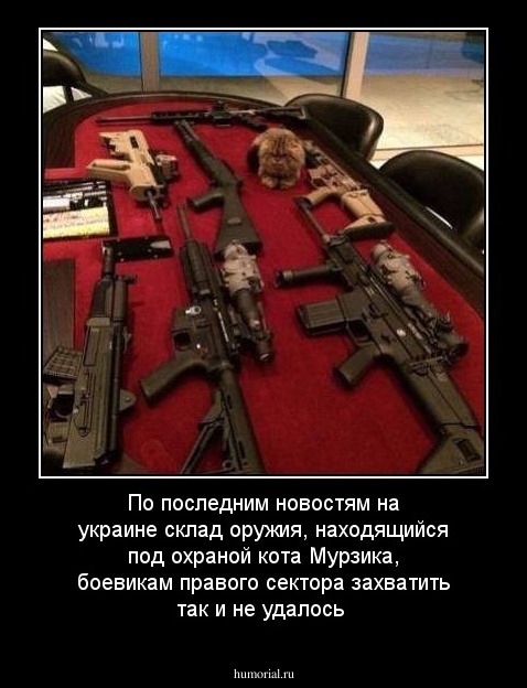По последним новостям на украине склад оружия, находящийся под охраной  кота Мурзика, боевикам правого сектора захватить так и не удалось