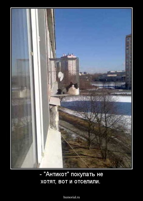 - "Антикот" покупать не хотят, вот и отселили.