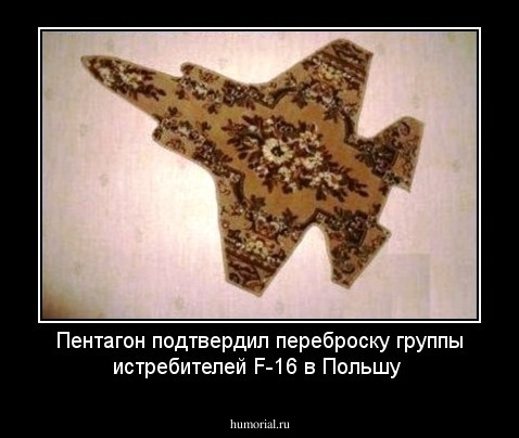 Пентагон подтвердил переброску группы истребителей F-16 в Польшу