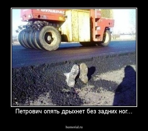 Петрович опять дрыхнет без задних ног...