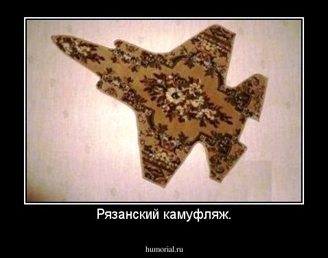 Рязанский камуфляж.