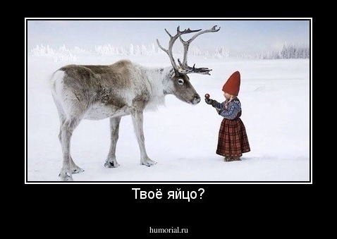 Твоё яйцо?