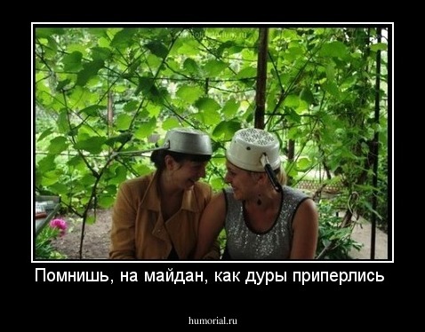 Помнишь, на майдан, как дуры приперлись 