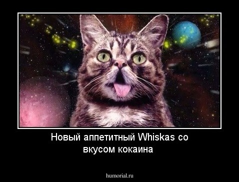 Новый аппетитный Whiskas со вкусом кокаина 