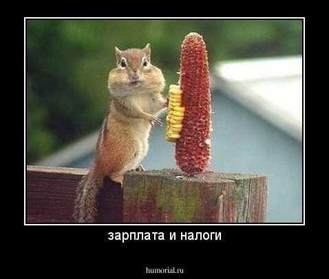 зарплата и налоги