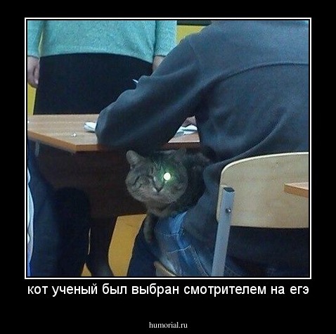 кот ученый был выбран смотрителем на егэ