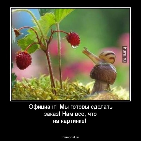 Официант! Мы готовы сделать заказ! Нам все, что на картинке!