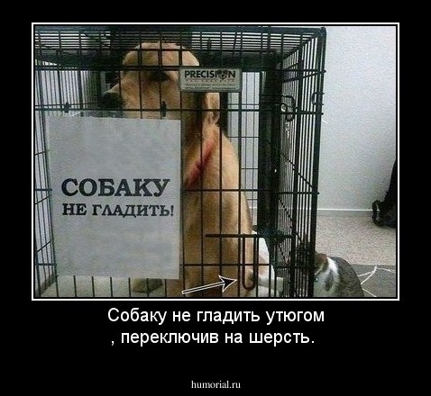 Собаку не гладить утюгом , переключив на шерсть.