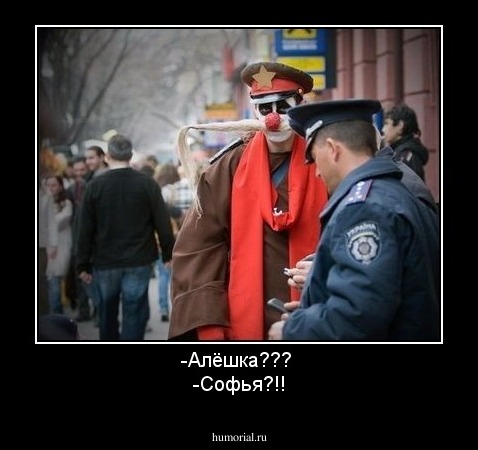 -Алёшка??? 
-Софья?!!