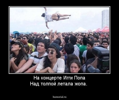 На концерте Игги Попа
Над толпой летала жопа.