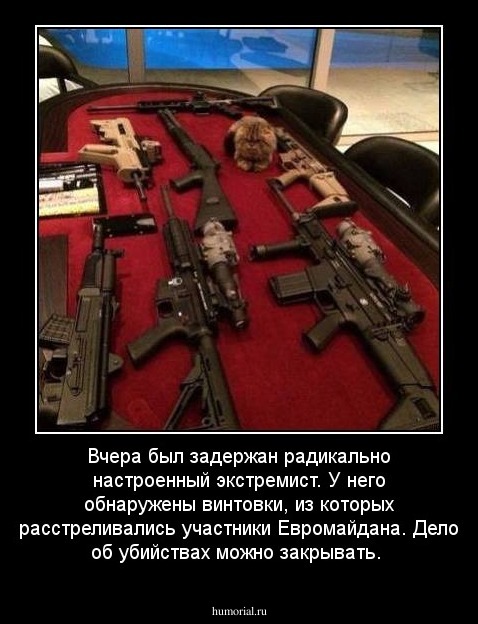 Вчера был задержан радикально настроенный экстремист. У него обнаружены винтовки, из которых расстреливались участники Евромайдана. Дело об убийствах можно закрывать.