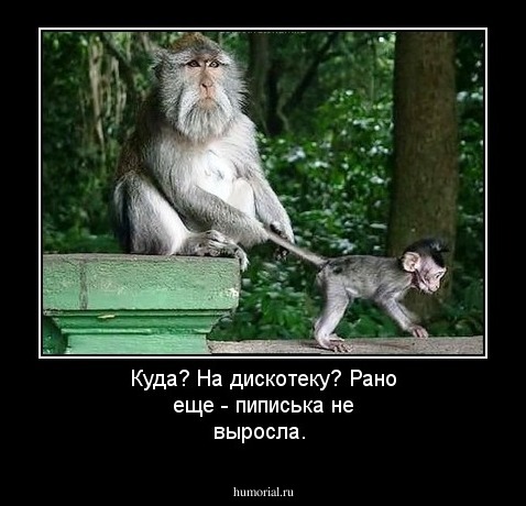 Куда? На дискотеку? Рано еще - пиписька не выросла.