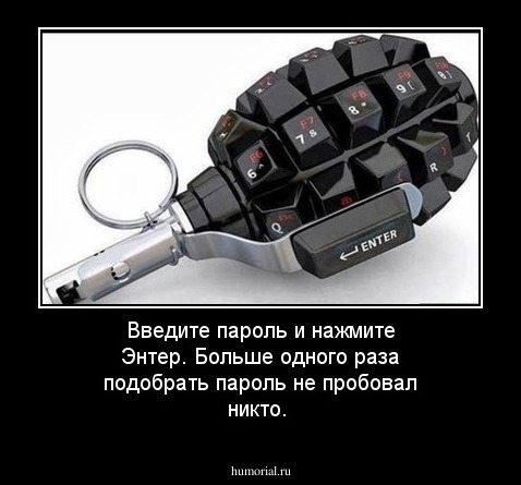 Введите пароль и нажмите Энтер. Больше одного раза подобрать пароль не пробовал никто.