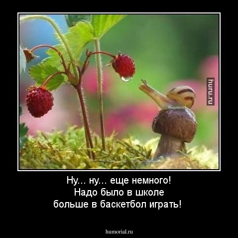 Ну... ну... еще немного! Надо было в школе больше в баскетбол играть!