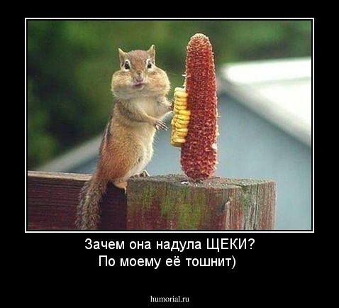 Зачем она надула ЩЕКИ? По моему её тошнит)