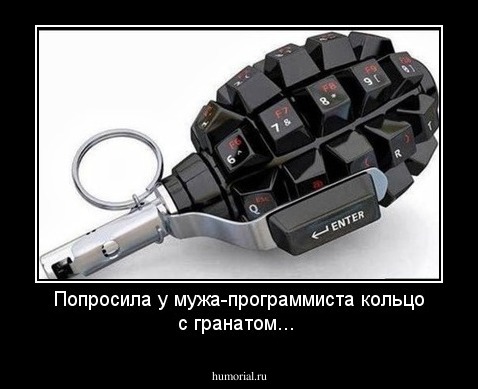Попросила у мужа-программиста кольцо с гранатом...