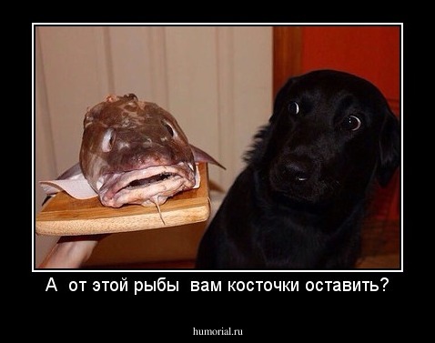 А  от этой рыбы  вам косточки оставить?