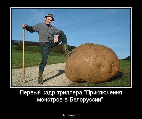 Первый кадр триллера "Приключения монстров в Белоруссии"