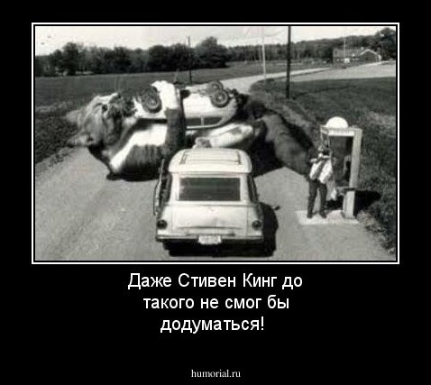Даже Стивен Кинг до такого не смог бы додуматься!