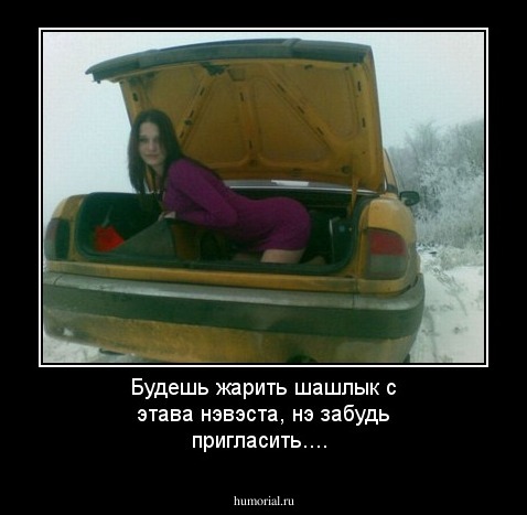 Будешь жарить шашлык с этава нэвэста, нэ забудь пригласить....