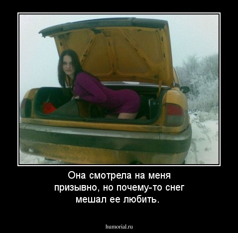 Она смотрела на меня призывно, но почему-то снег мешал ее любить.
