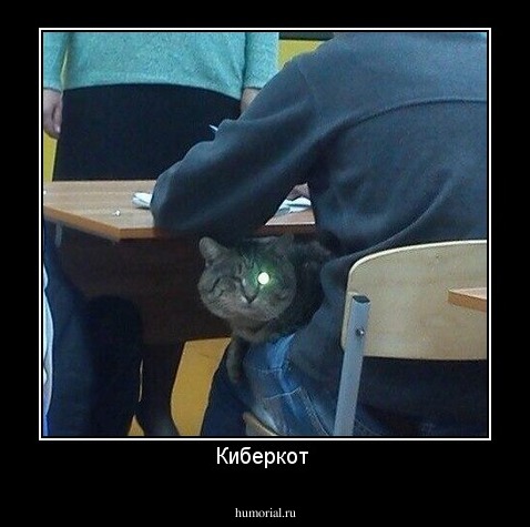 Киберкот 